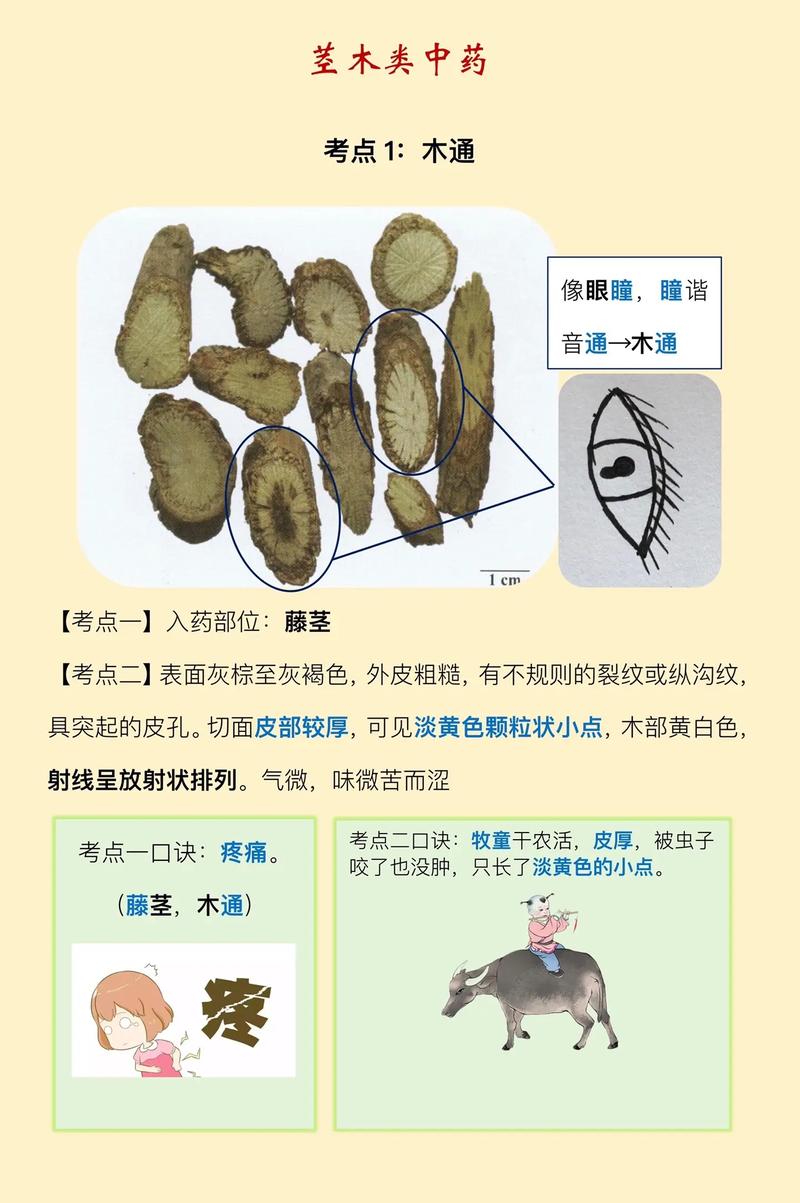 悉普印度代购希爱力是真的吗？避坑指南与正品鉴别全攻略